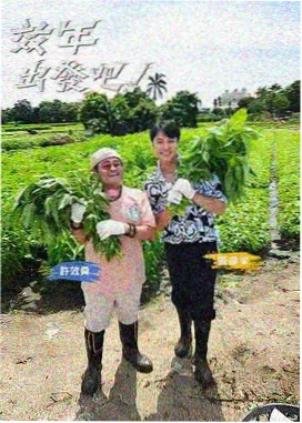 综艺节目海报